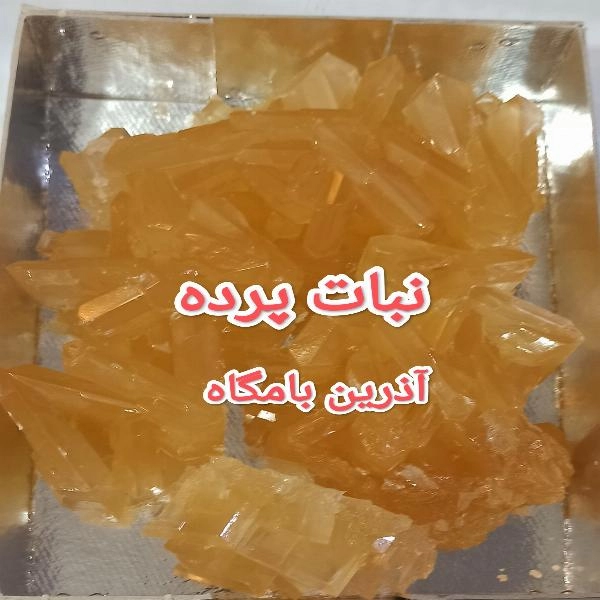 نبات پرده یک کیلویی اعلا