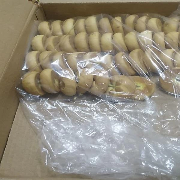 کلوچه خرمایی شیرازی - 3