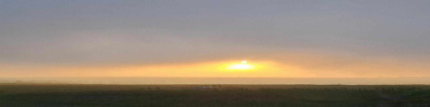 بهرام دستگیری