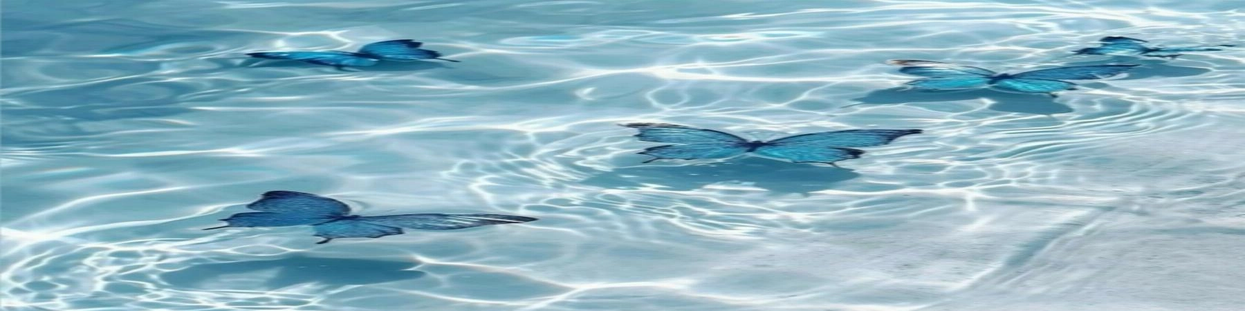 نماینده فروش ایرانیشکارت، تبریز