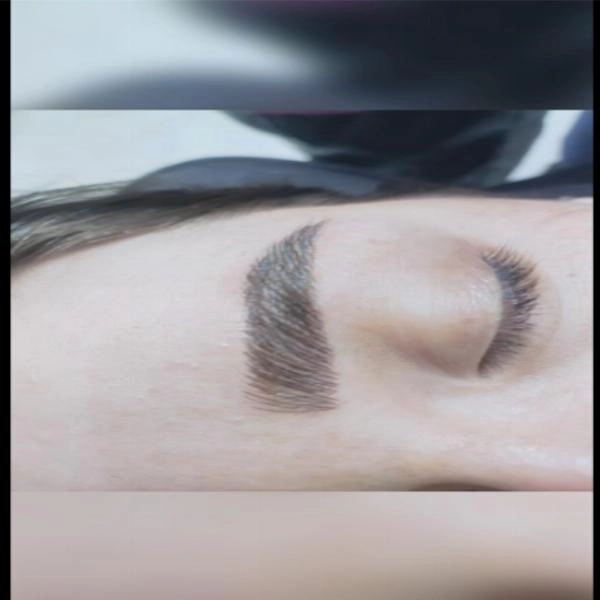 فیبروز جدید مشتری عزیز